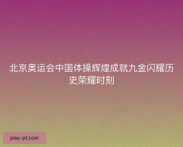 北京奥运会中国体操辉煌成就九金闪耀历史荣耀时刻