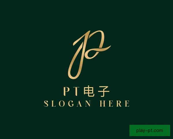 介绍PT电子